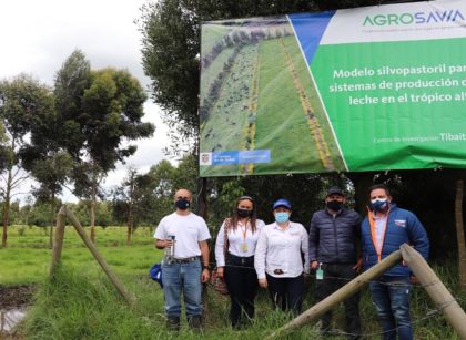 Gobernación sigue avanzando para garantizar la reforestación en Cundinamarca
