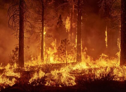 Incendios forestales en zona rural